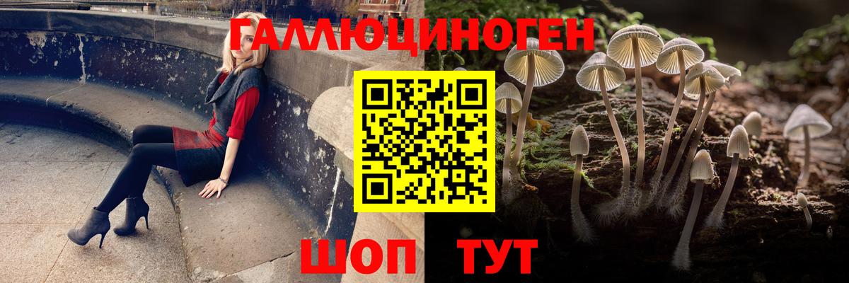 Баксан  Галлюциногенные грибы Magic Shrooms  Вход с VPN 